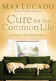 DOWNLOAD PDF: Cure for the Common Life by Max Lucado 23