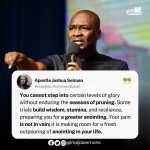 QUOTE OF THE DAY BY AOSTLE JOSHUA SELMAN 7